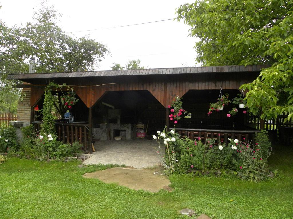 Pensiunea Cerbul Carpatin Bran  Exterior photo